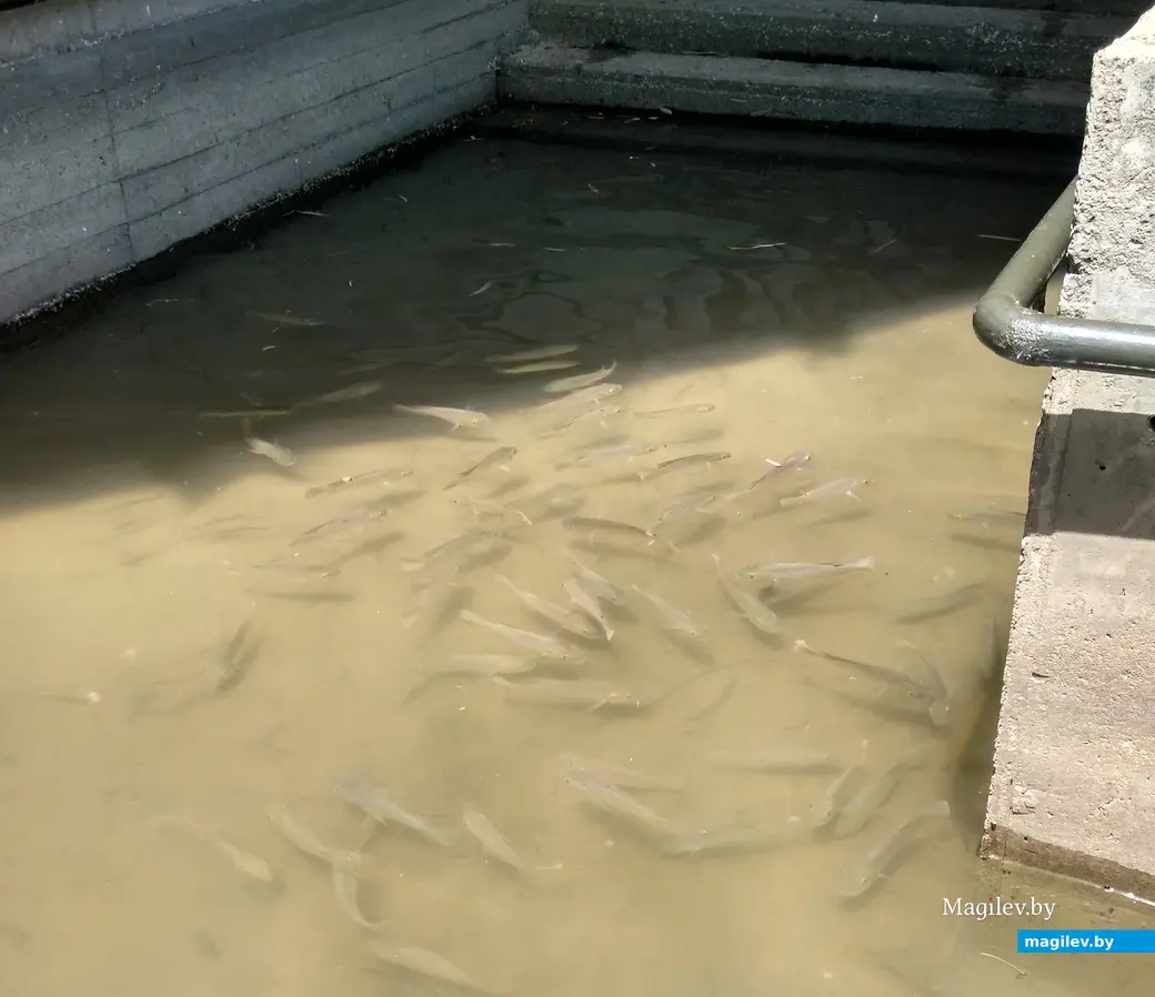  28.04.2017 г. Израиль, Ярденит