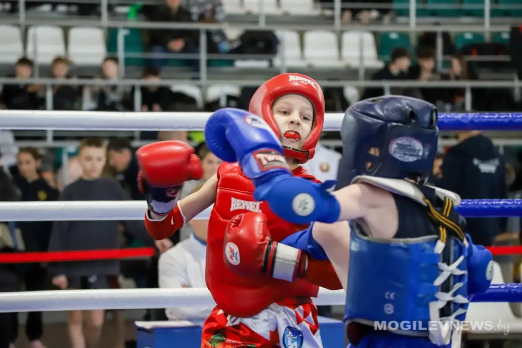  16.01.2026 года. Турнир по тайскому боксу «Золотой лев» проходит в Могилеве. Фото: mogilevnews.by.