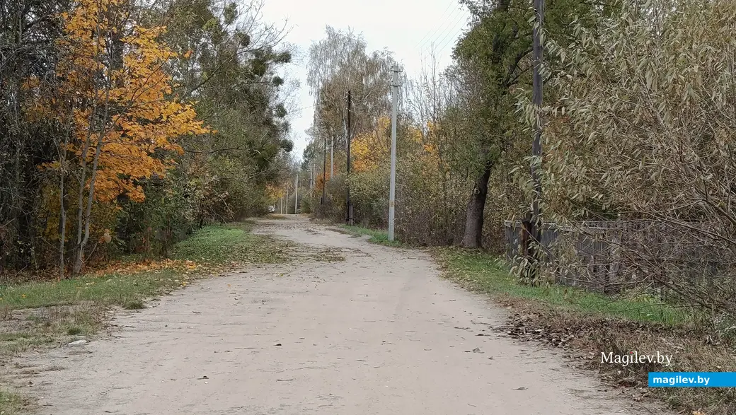  2025 г. Вясковая вуліца.