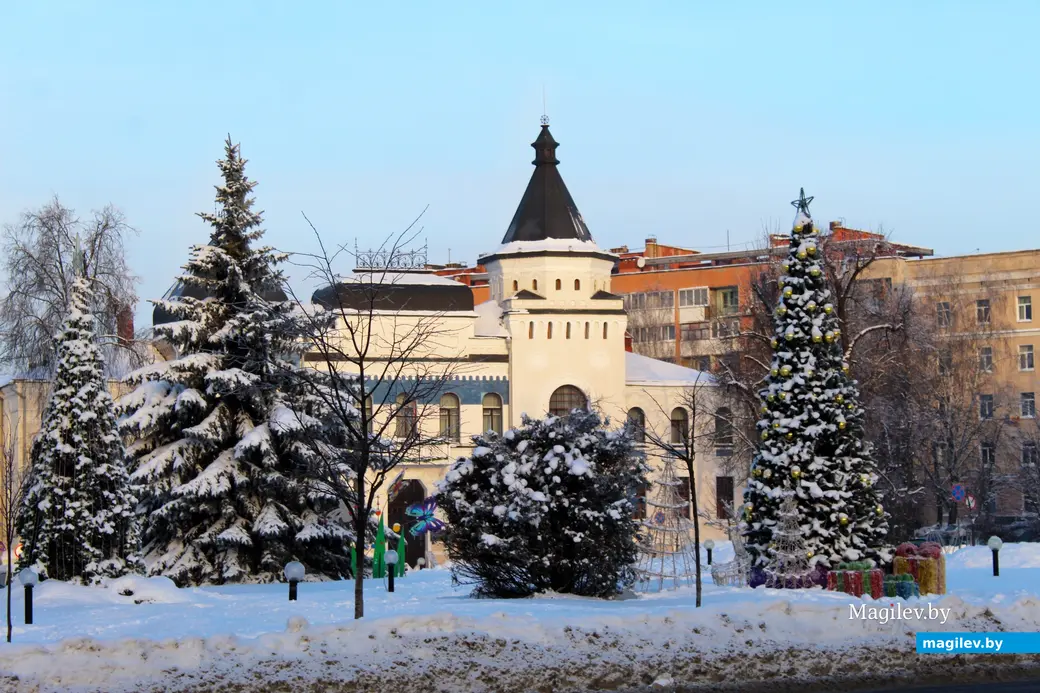 17 января 2026 года. Могилев.  