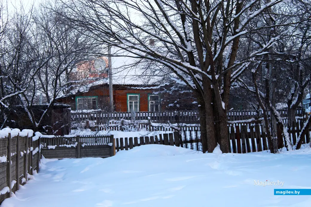 17 января 2026 года. Могилев.  