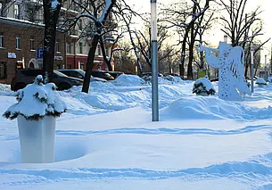 Облачно и мороз до 10 градусов: погода в Могилеве 21 января