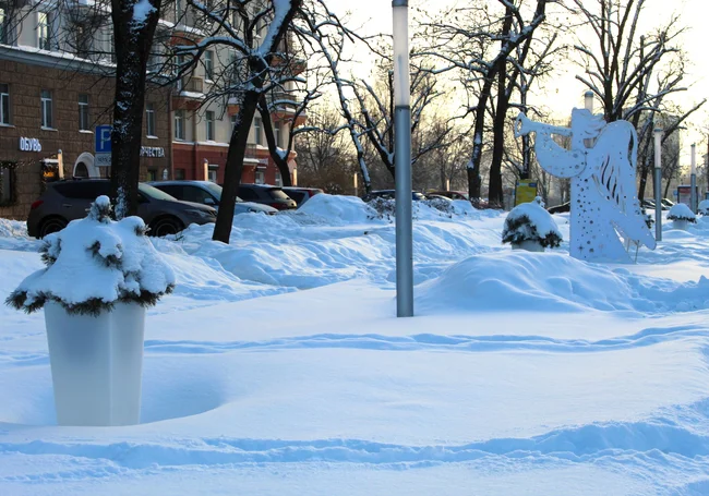 Облачно и мороз до 10 градусов: погода в Могилеве 21 января