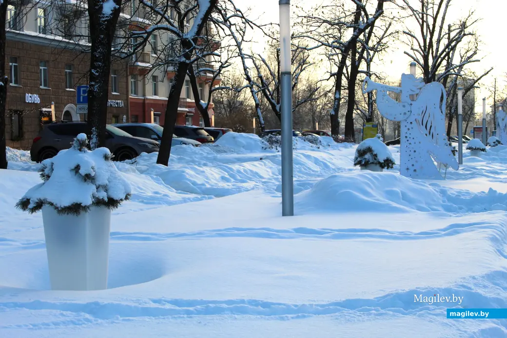 17 января 2026 года. Могилев.  