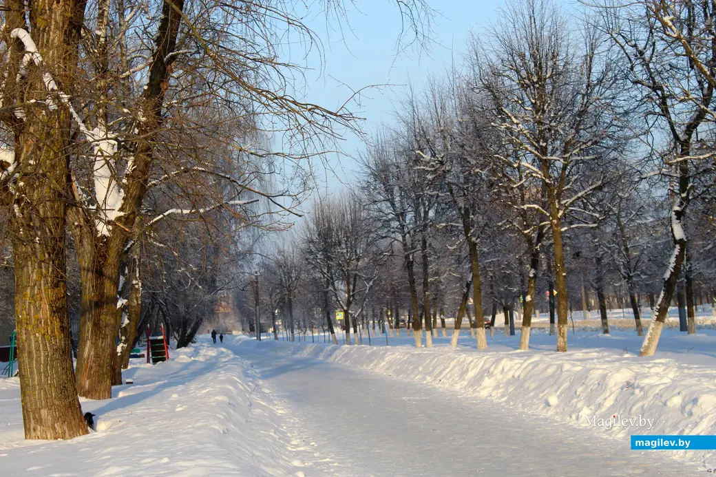 17 января 2026 года. Могилев.  