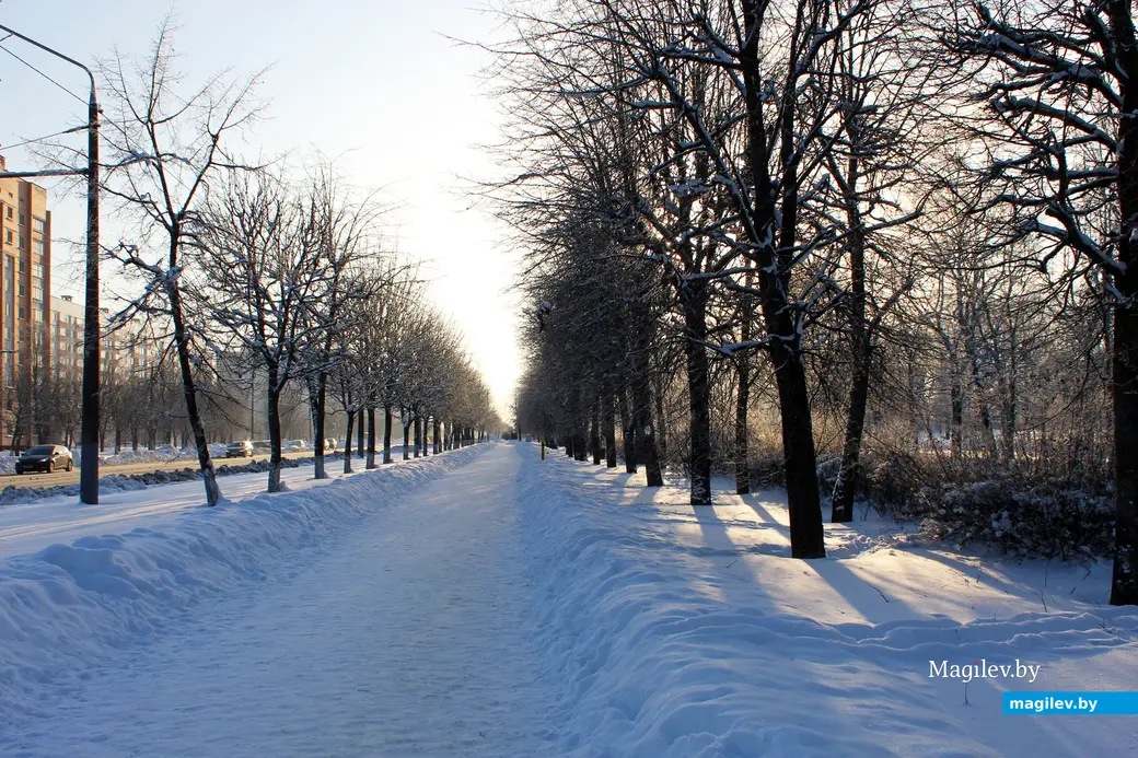 17 января 2026 года. Могилев.  