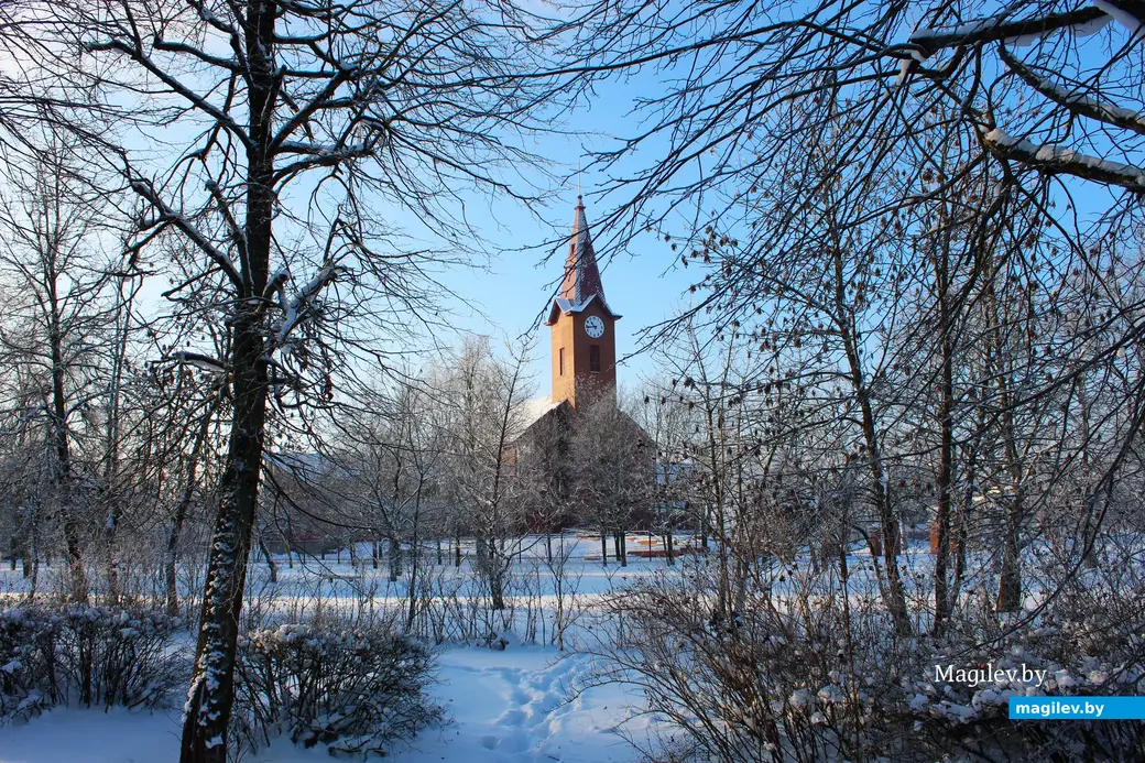 17 января 2026 года. Могилев.  