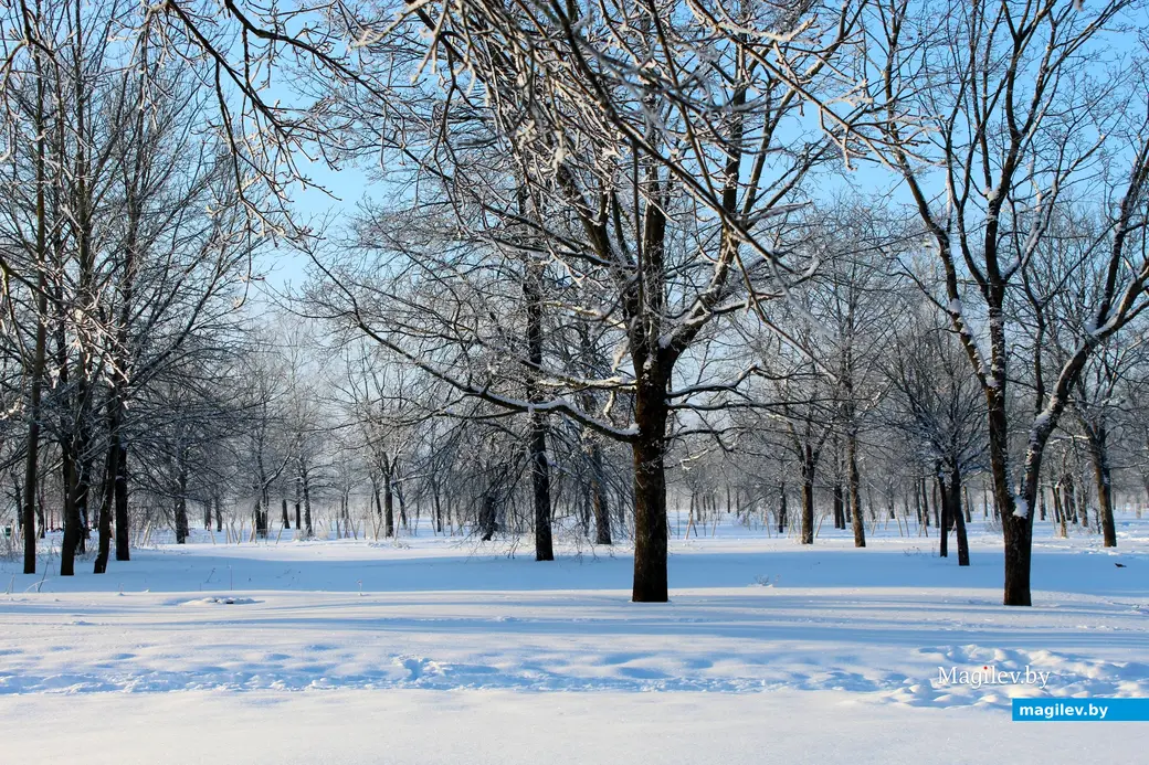 17 января 2026 года. Могилев.  