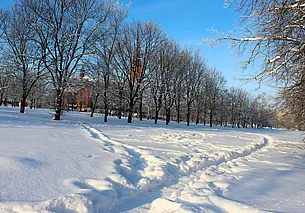 Где в ночь на 2 февраля в Беларуси было холоднее всего: рассказали синоптики