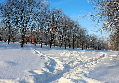 Где в ночь на 2 февраля в Беларуси было холоднее всего: рассказали синоптики