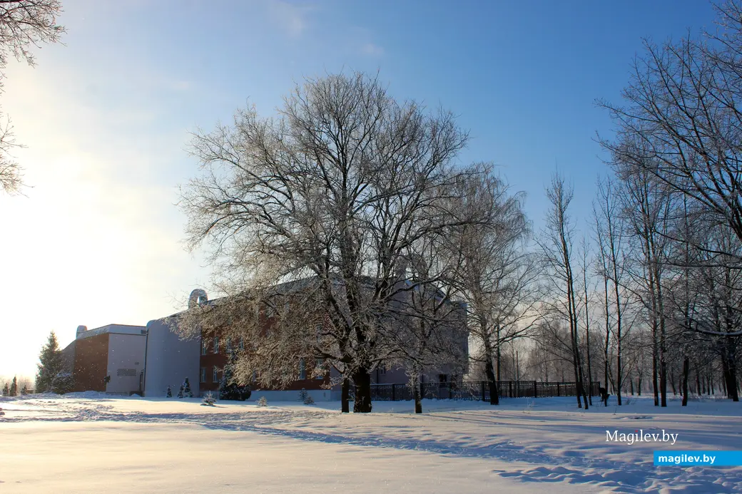 17 января 2026 года. Могилев.  