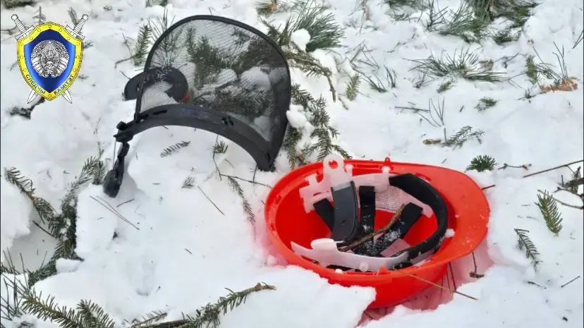  20.01.2026 г. В Костюковичском районе при валке леса погиб работник. Фото: СК РБ