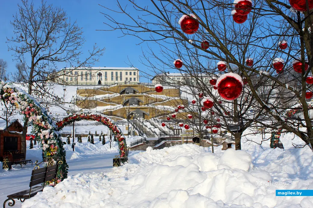  20 января 2026 года. Могилев. Парк Подниколье. 