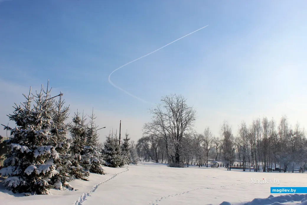  20 января 2026 года. Могилев. Парк Подниколье. 