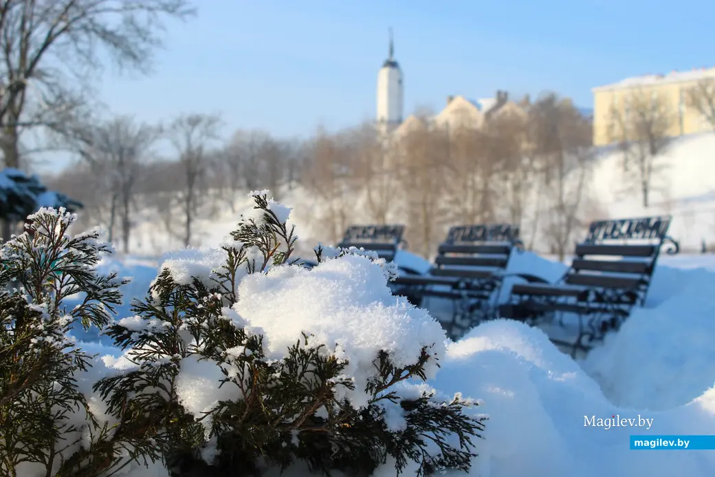 20 января 2026 года. Могилев. Парк Подниколье.  
