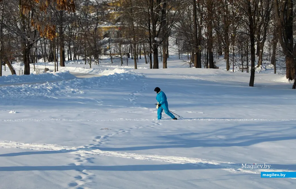  20 января 2026 года. Могилев. Парк Подниколье. 