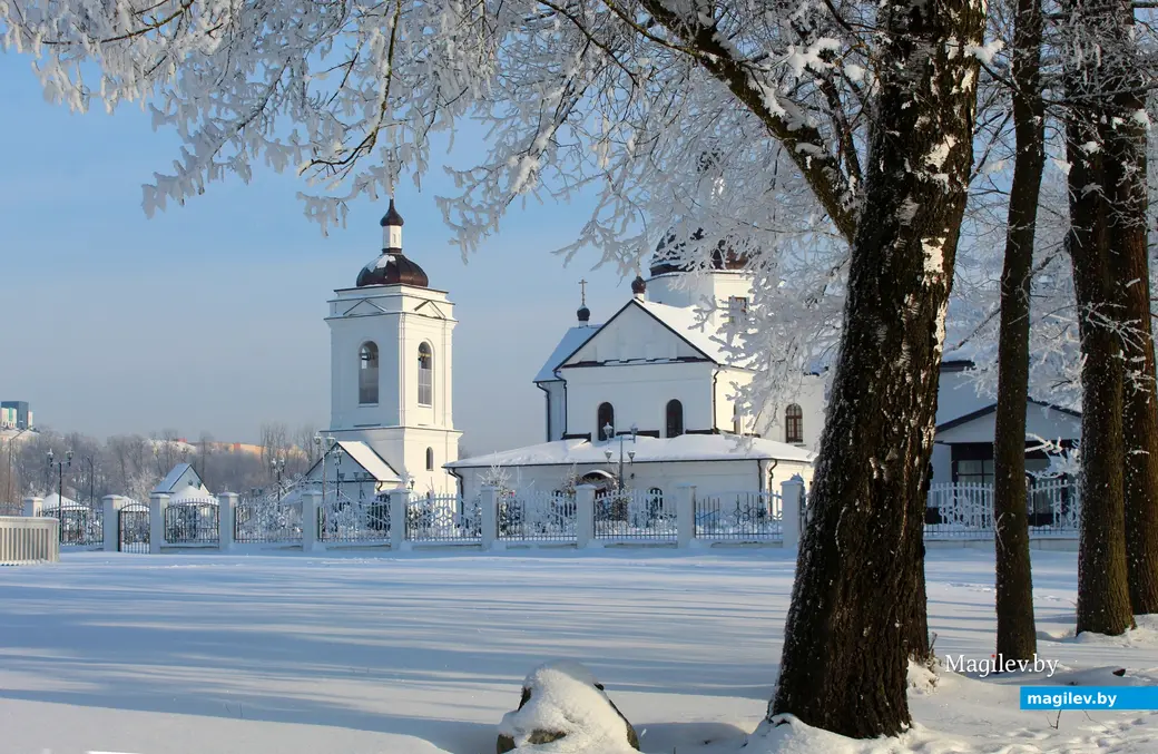  20 января 2026 года. Могилев. Парк Подниколье. 