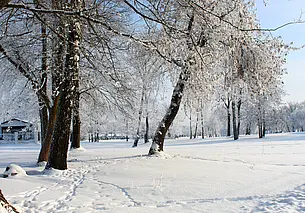 Мокрый снег, гололед и до 6 градусов мороза: погода в Могилеве 26 января