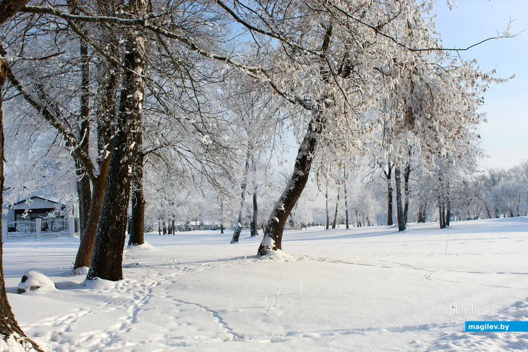  20 января 2026 года. Могилев. Парк Подниколье. 