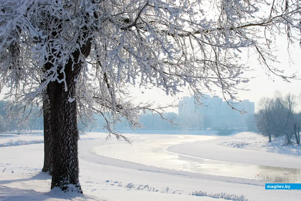 20 января 2026 года. Могилев. Парк Подниколье.  