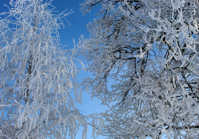 Гололедица и до 14 градусов мороза: погода в Могилеве 3 февраля