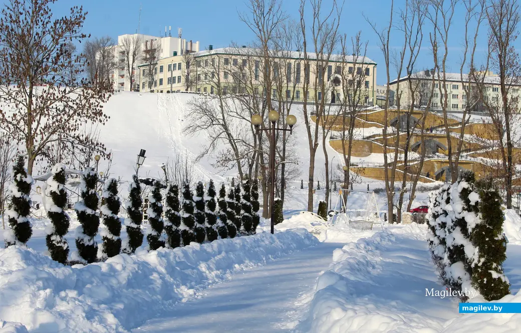 Зима 2026 года. Могилев. Парк Подниколье. Фото Галины Покровской.