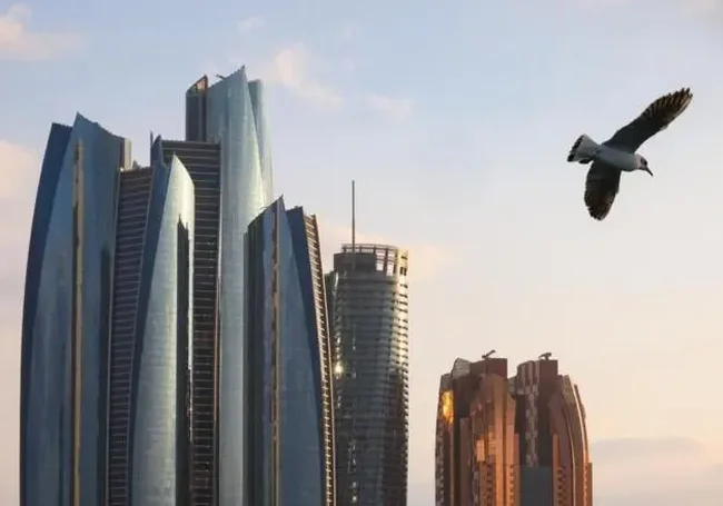 Переговоры в Абу-Даби продолжатся 24 января