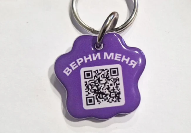 В Беларуси появился новый сервис поиска потерявшихся домашних животных