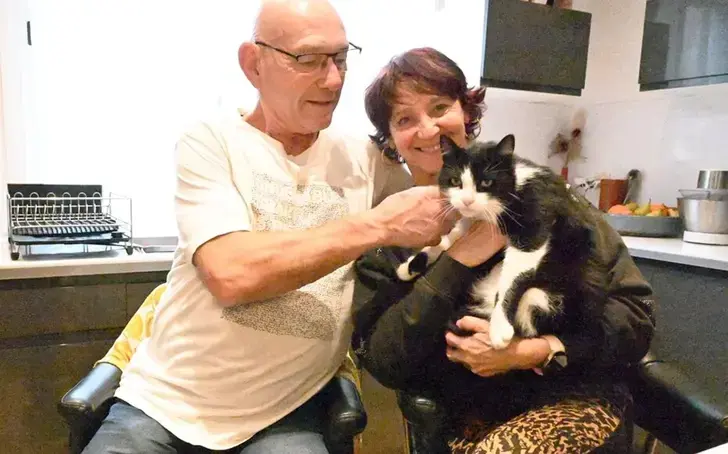 Потерявшийся Филу шел домой четыре месяца. Фото: leparisien.fr..