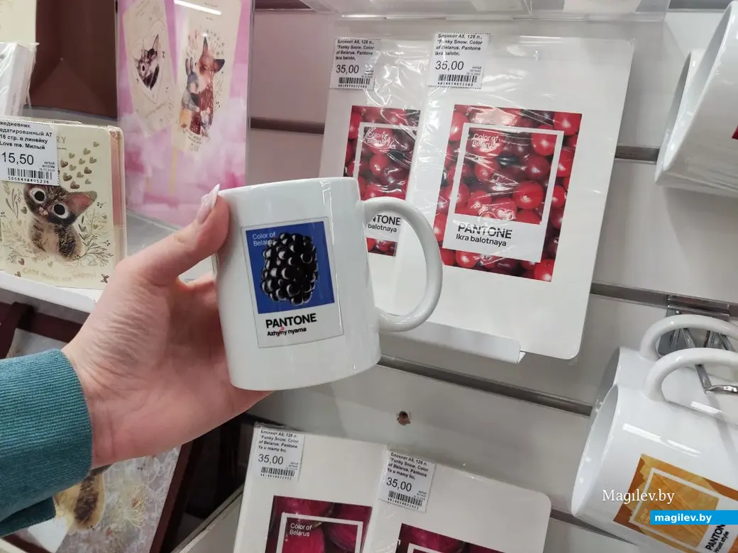  21.01.2026 г. Могилев, ул. Островского, 5. Магазин канцтоваров «Офистон Маркет»