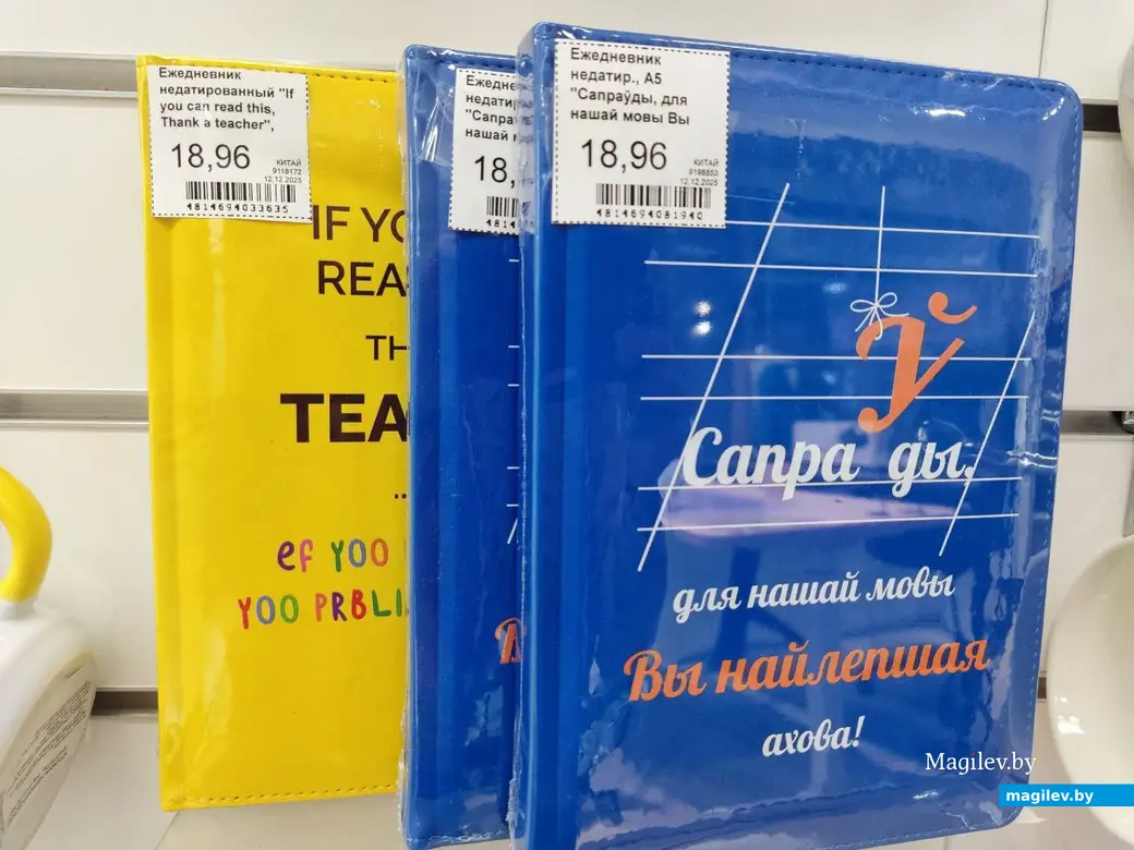  21.01.2026 г. Могилев, ул. Островского, 5. Магазин канцтоваров «Офистон Маркет»