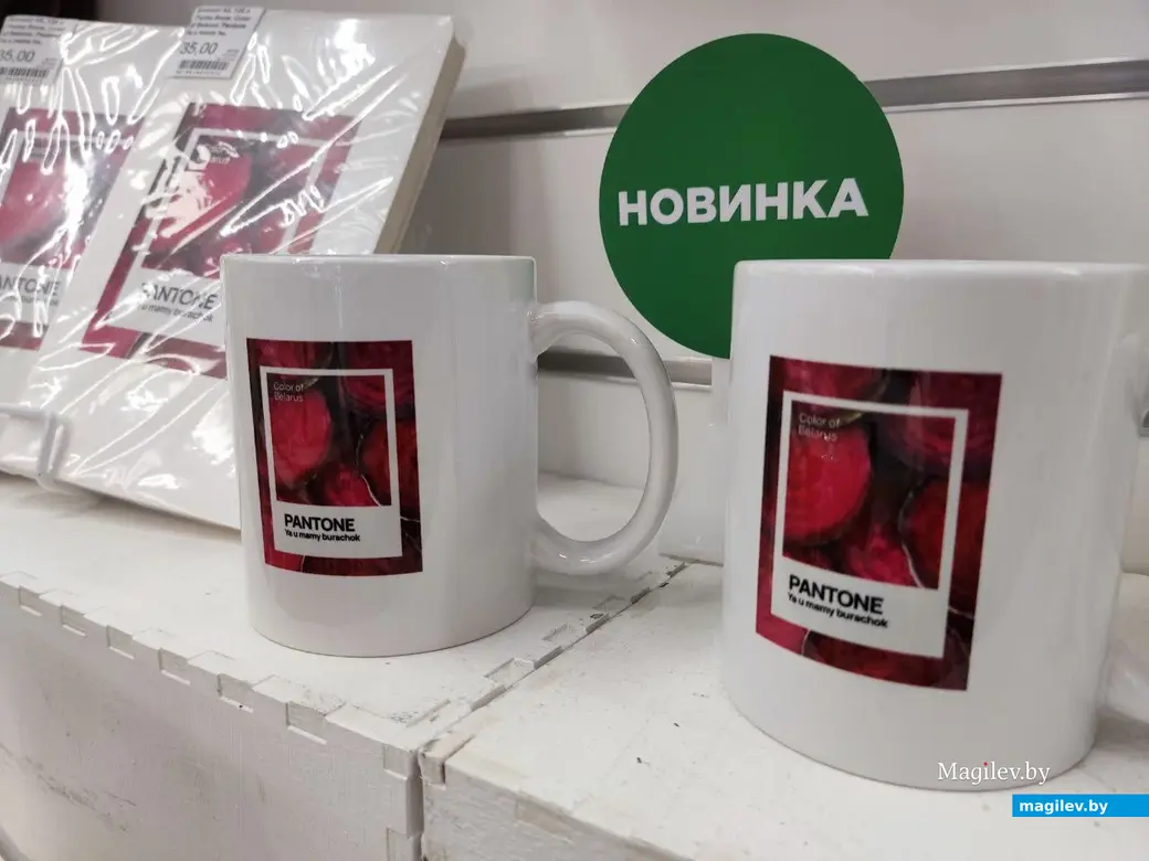  21.01.2026 г. Могилев, ул. Островского, 5. Магазин канцтоваров «Офистон Маркет»