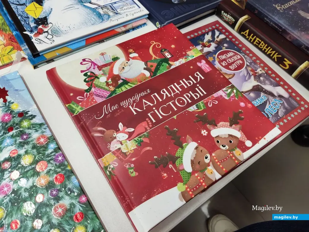  21.01.2026 г. Могилев, ул. Островского, 5. Магазин канцтоваров «Офистон Маркет»