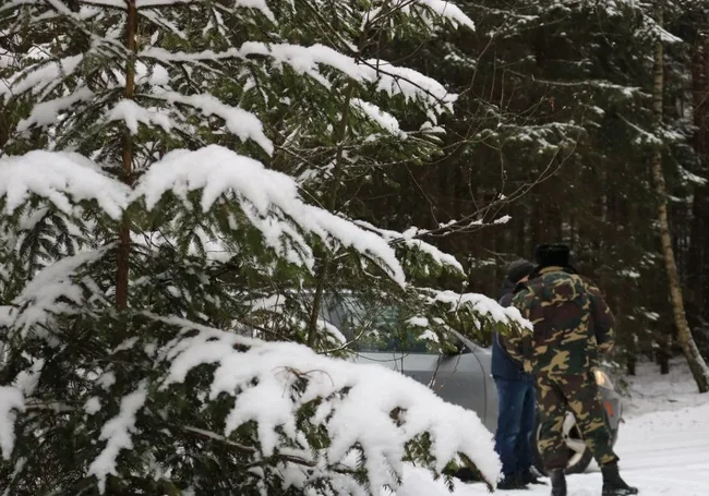 Житель Бобруйского района заплатит штраф за хранение ружья и патронов