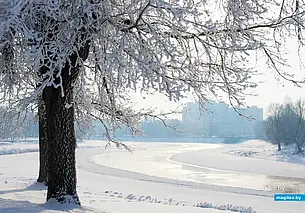 Без осадков, гололедица и до 12 градусов мороза: погода в Могилеве и области 30 января