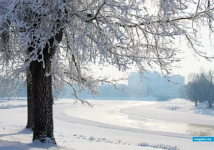 Без осадков, гололедица и до 12 градусов мороза: погода в Могилеве и области 30 января