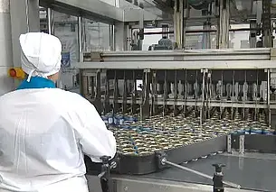 Экспорт продовольствия из Беларуси в 2025 году достиг рекордных 10 млрд. долларов