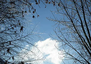 На 10-15 градусов ниже климатической нормы: прогноз погоды на неделю 2-8 февраля