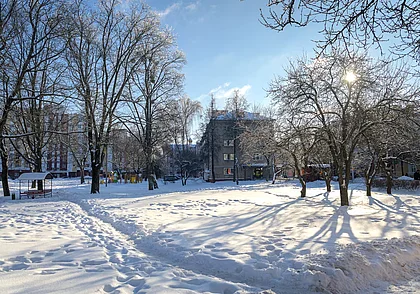 Мороз крепчает – днем до -17°С: погода в Могилеве 2 февраля