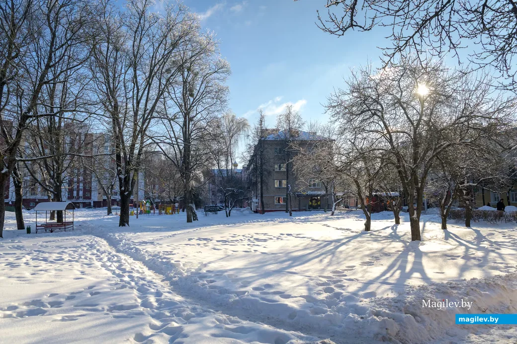 Ночью и утром 2 февраля в некоторых районах Беларуси ожидается мороз до -33 °С. Фото: Александр