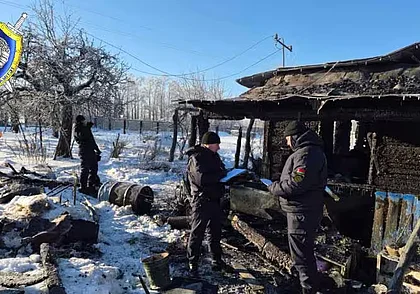 Два человека погибли на пожаре в Осиповичском районе (видео)