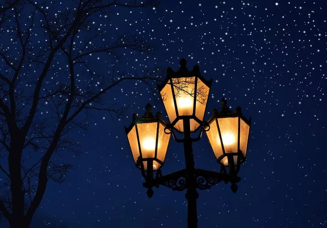 В Беларуси выработают единый график уличного освещения