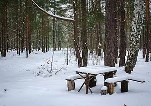 Снег, гололед и до -10°Ϲ: погода в Могилеве 5 февраля
