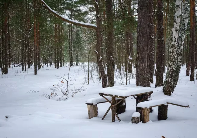 Снег, гололед и до -10°Ϲ: погода в Могилеве 5 февраля