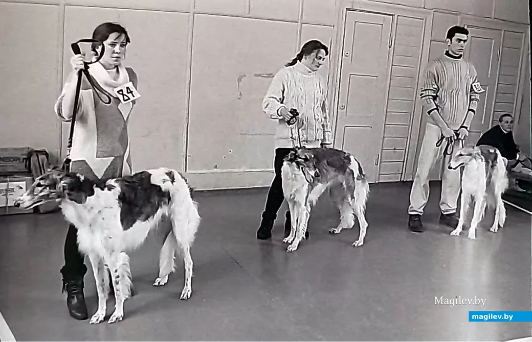  1997 год, Могилев, ДК ЗИВ им. Куйбышева. Городская выставка собак.