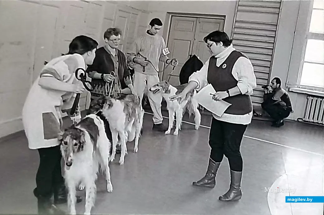   1997 год, Могилев, ДК ЗИВ им. Куйбышева. Городская выставка собак.