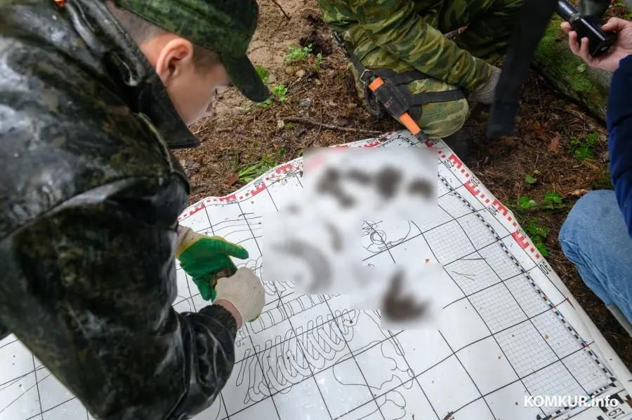 03.06.2025. Р93, Мышковичский сельский Совет, Кировский район, Могилёвская область, Беларусь. Поисковая экспедиция «Бобруйский котел» Могилевского областного