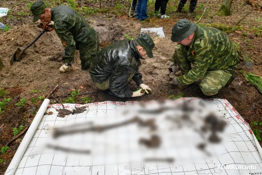 03.06.2025. Р93, Мышковичский сельский Совет, Кировский район, Могилёвская область, Беларусь. Поисковая экспедиция «Бобруйский котел» Могилевского областного