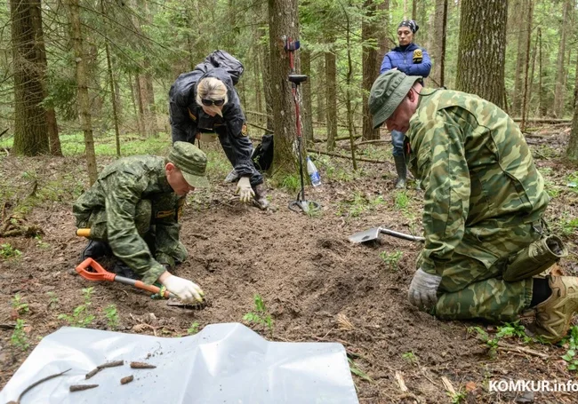 С медалью «За отвагу». Под Бобруйском найден погибший боец Красной армии (видео)
