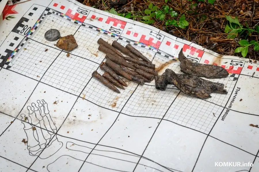 03.06.2025. Р93, Мышковичский сельский Совет, Кировский район, Могилёвская область, Беларусь. Поисковая экспедиция «Бобруйский котел» Могилевского областного